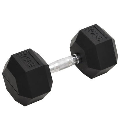 Halters 25 Kg Gietijzer 1x 25 kg