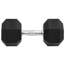 Halters 25 Kg Gietijzer 1x 25 kg