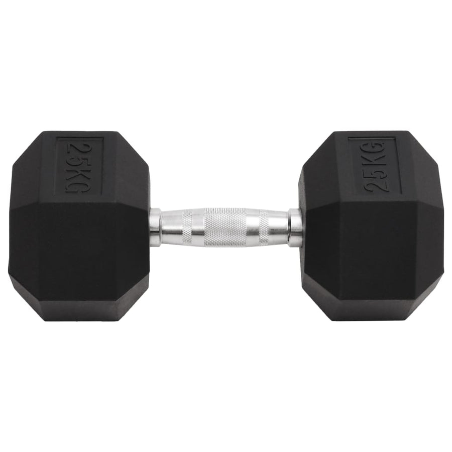 Halters 25 Kg Gietijzer 1x 25 kg