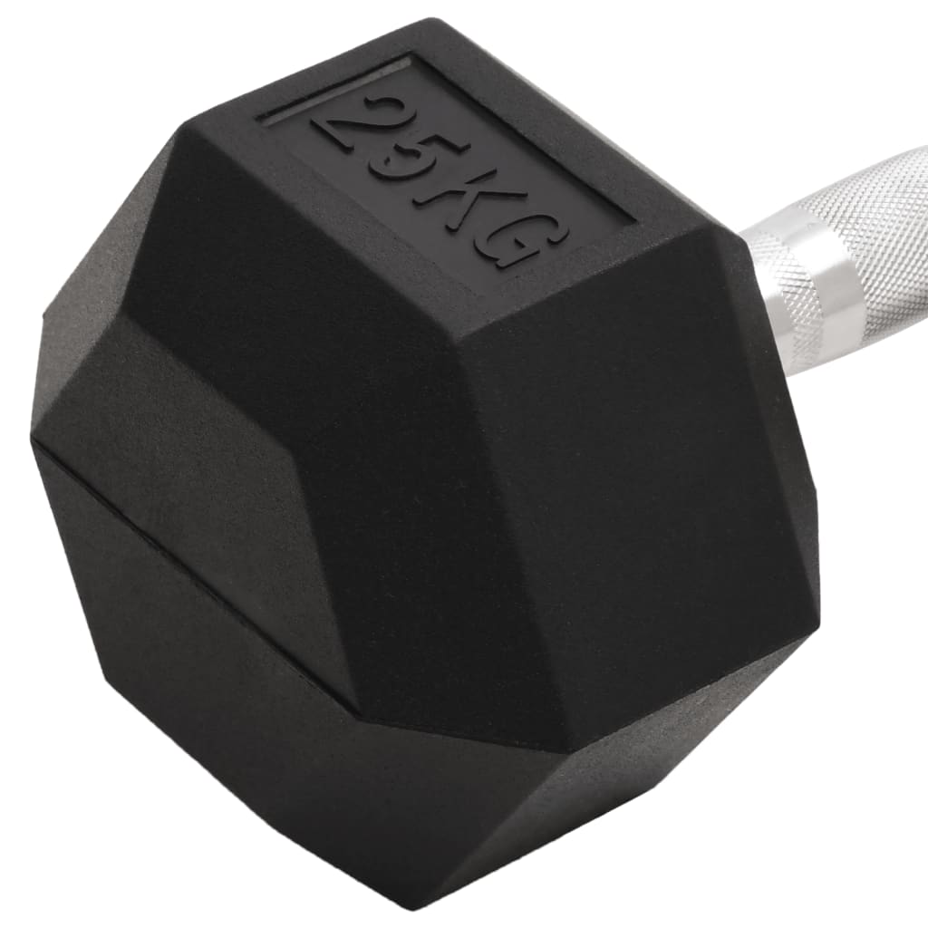 Halters 25 Kg Gietijzer 1x 25 kg