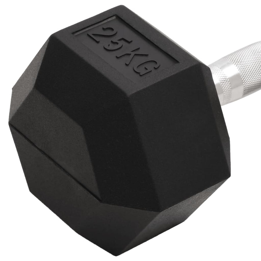 Halters 25 Kg Gietijzer 1x 25 kg