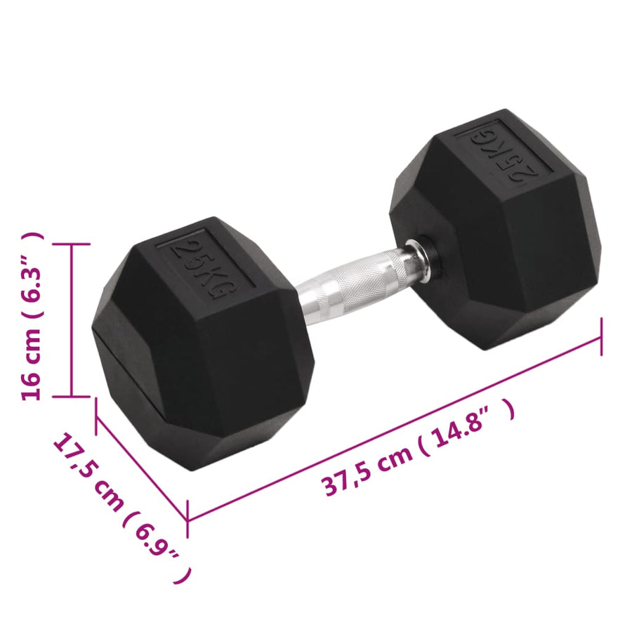 Halters 25 Kg Gietijzer 1x 25 kg