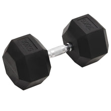 Halters 30 Kg Gietijzer