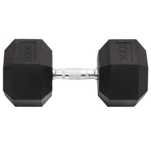 Halters 30 Kg Gietijzer