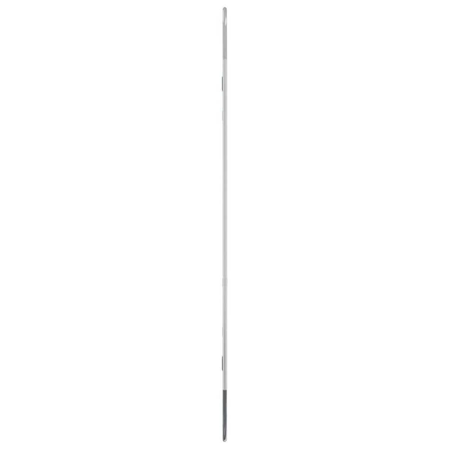 Wandspiegel 90X40 Cm Ovaal Zilverkleurig