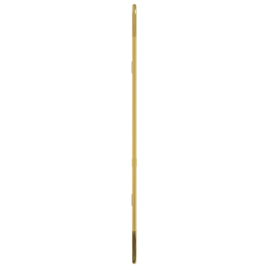 Wandspiegel 50X20 Cm Ovaal Goudkleurig