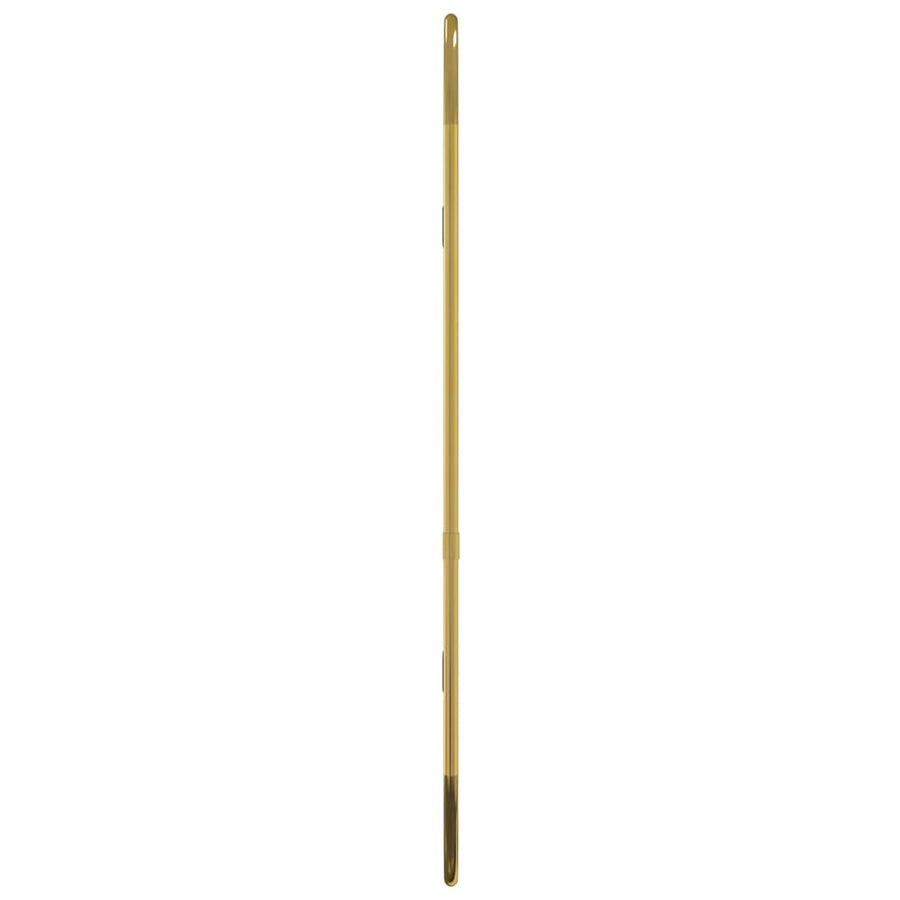 Wandspiegel 60X25 Cm Ovaal Goudkleurig