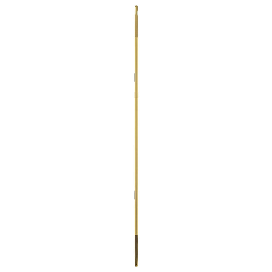 Wandspiegel 70X30 Cm Ovaal Goudkleurig