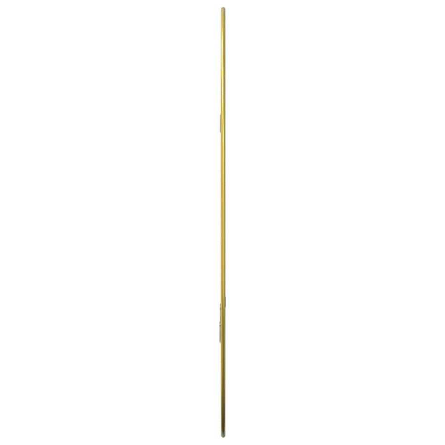 Wandspiegel Kleurig 60 x 40 cm Goud