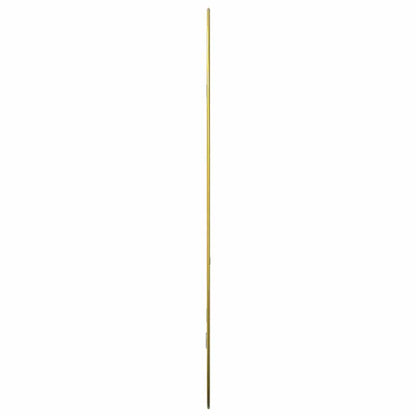 Wandspiegel Kleurig 70 x 45 cm Goud