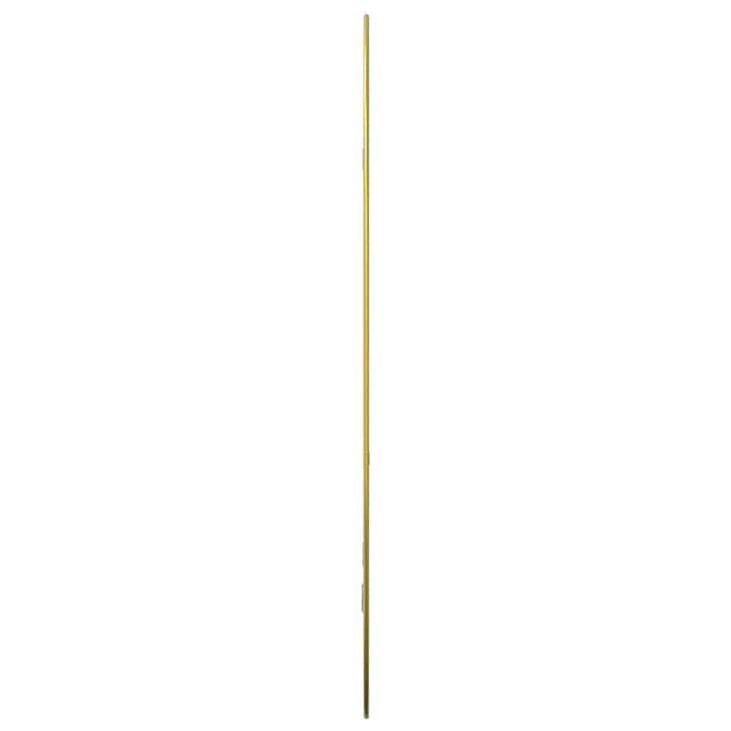 Wandspiegel Kleurig 80 x 50 cm Goud