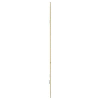 Wandspiegel Kleurig 80 x 50 cm Goud