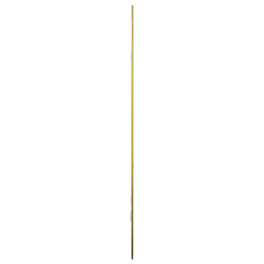 Wandspiegel Kleurig 80 x 50 cm Goud