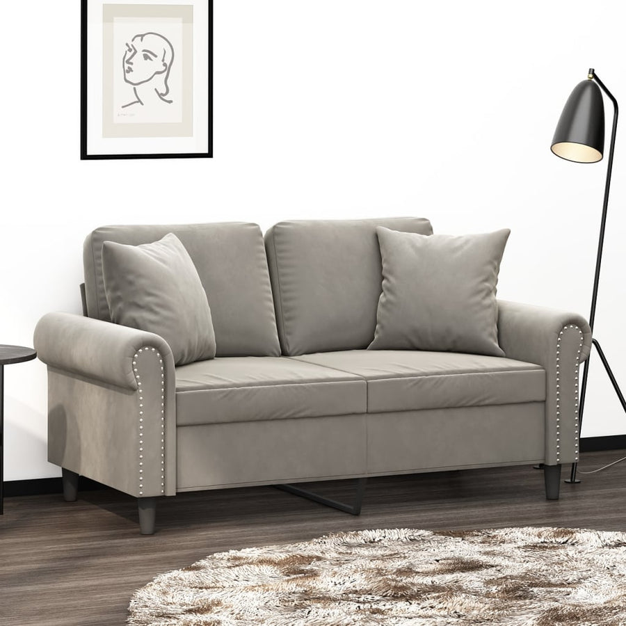Sierkussens 2 St 40X40 Cm Fluweel Lichtgrijs