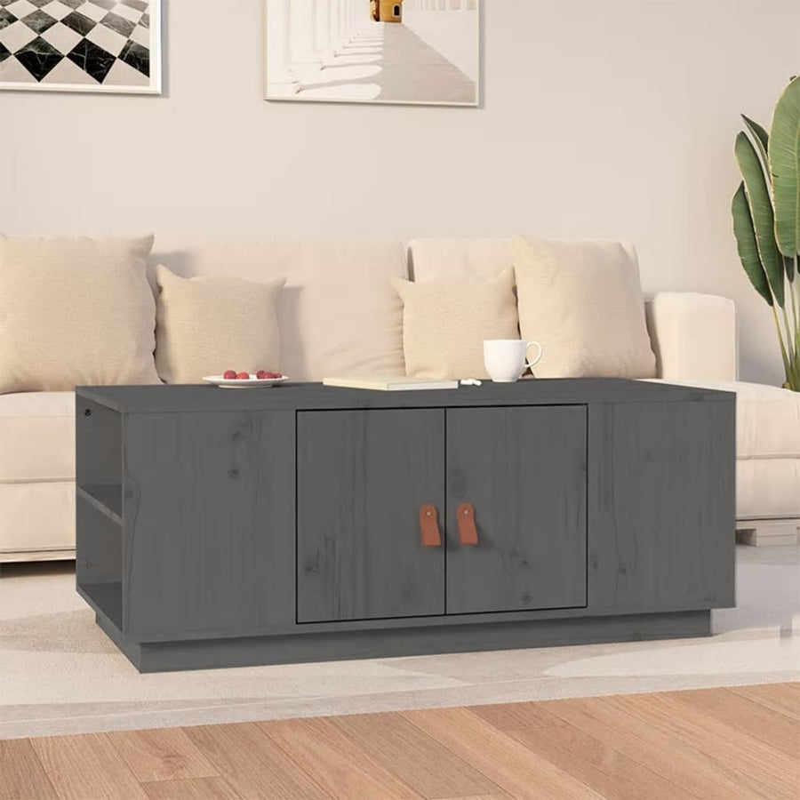 Salontafel 00X50X4 Cm Massief Grenenhout Grijs