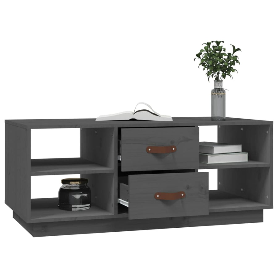 Salontafel 100X50X41 Cm Massief Grenenhout Grijs