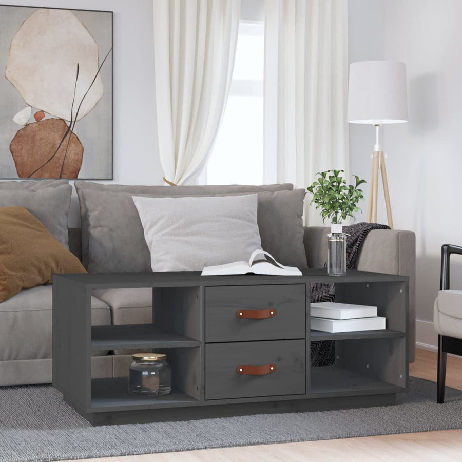 Salontafel 100X50X41 Cm Massief Grenenhout Grijs