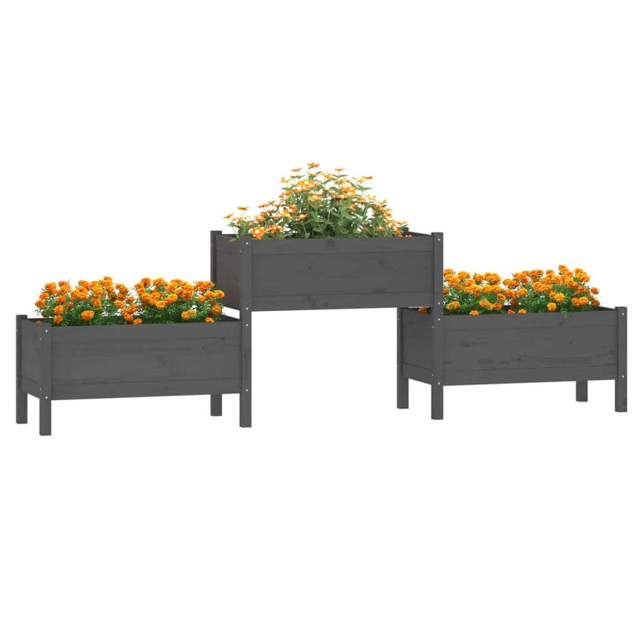 Plantenbak 245,5X44X75 Cm Massief Grenenhout Grijs