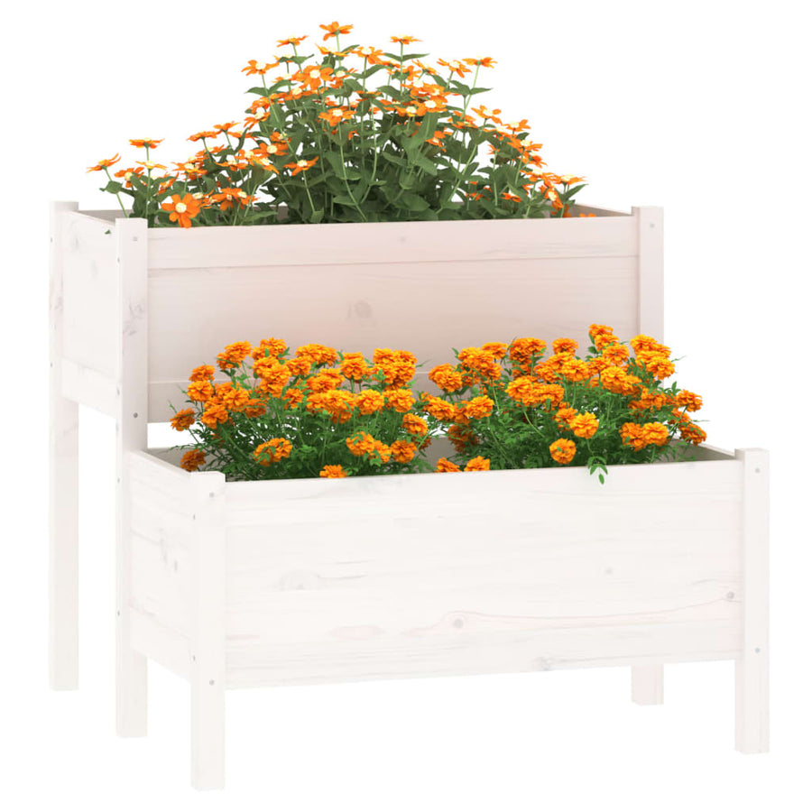 Plantenbak 84,5X84X75 Cm Massief Grenenhout Wit