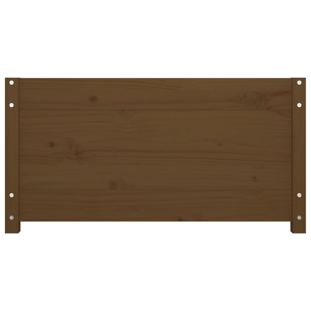 Slaapbank Massief Grenenhout 80 x 200 cm Honingbruin