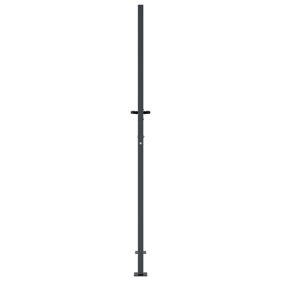 Poort 105X205 Cm Met Grasontwerp Staal Antracietkleurig 105 x 205 cm