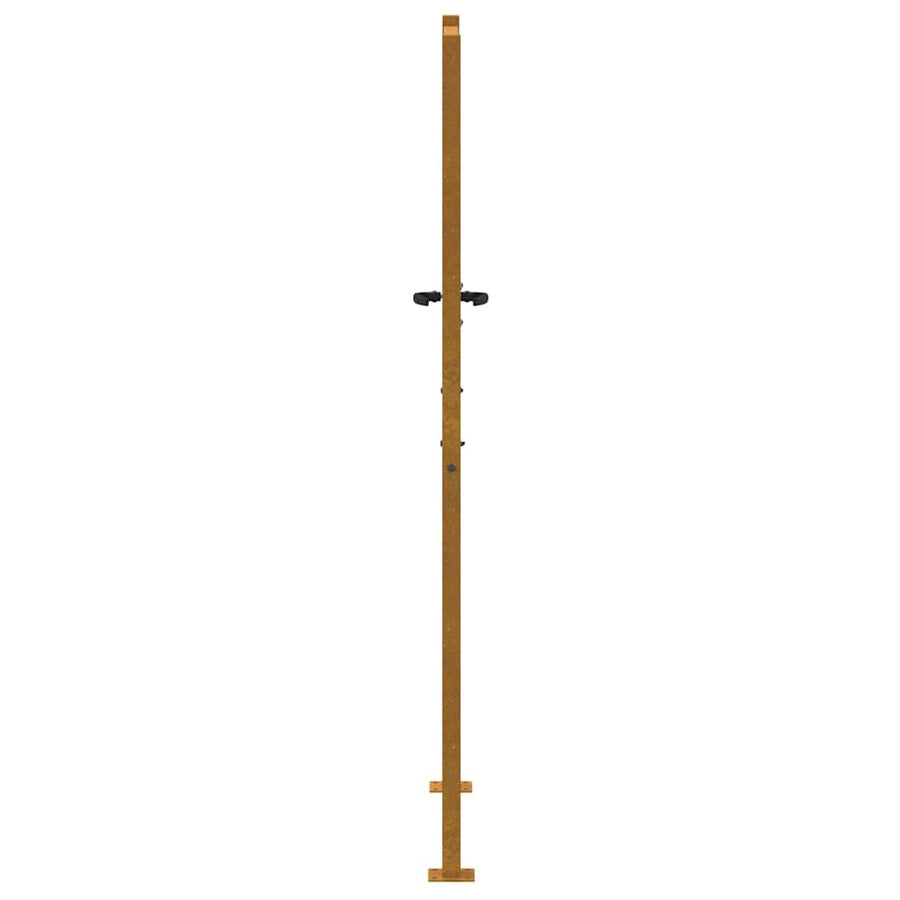 Poort Boomontwerp Cortenstaal 105 x 180 cm