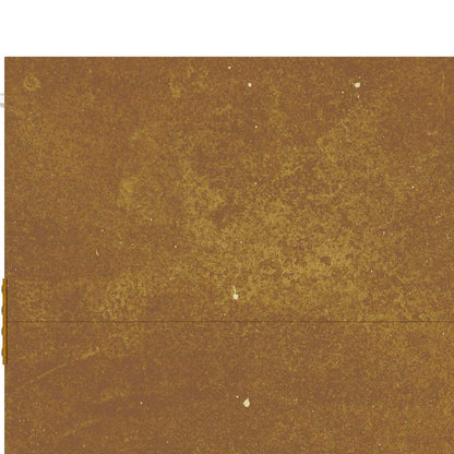 Poort Cortenstaal 85 x 200 cm