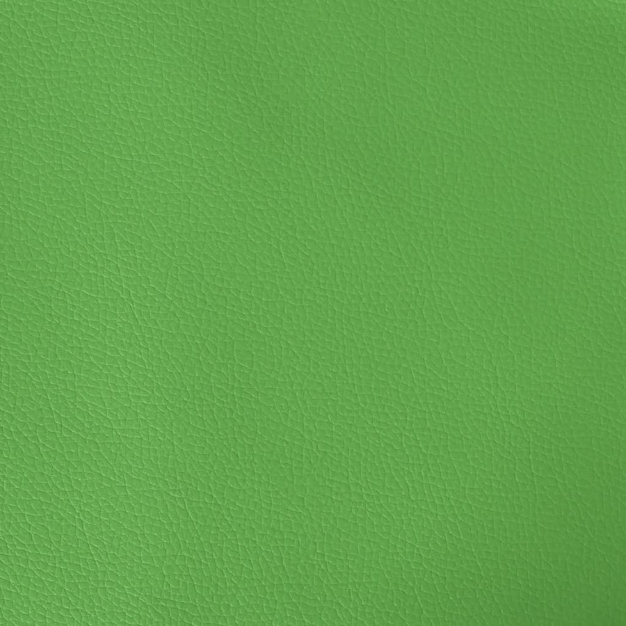 Gamestoel Kunstleer 1 Zwart en groen Zonder voetensteun