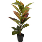 Kunstplant Calathea 40x65 cm groen roze
