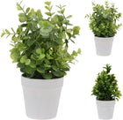 Various Artificial Plant In Flowerpot Green 25Cm