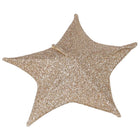Other Brands Decoration Fabric Christmas Star 50 Cm With 30 Leds Gold