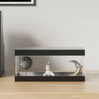 Vitrine acryl 24x12x11 cm transparant zwart