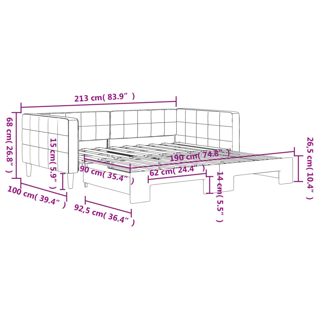 Slaapbank Fluweel Donkergrijs 90 x 190 cm met onderschuifbed