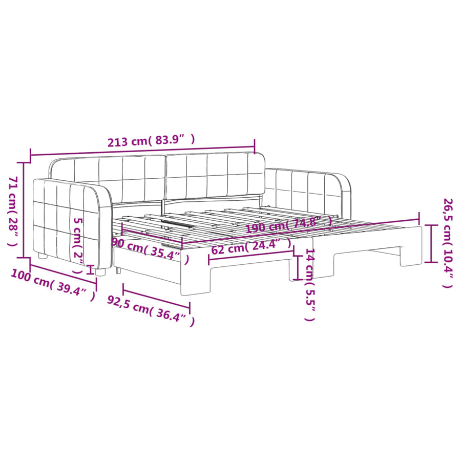 Slaapbank Fluweel Donkergrijs 90 x 190 cm met onderschuifbed