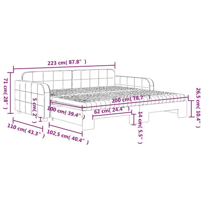Slaapbank onderschuifbed matrassen 100x200cm fluweeldonkergrijs