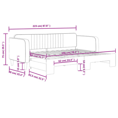 Slaapbank Fluweel Donkergrijs 80 x 200 cm met onderschuifbed