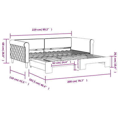 Slaapbank met onderschuifbed 100x200 cm fluweel roze