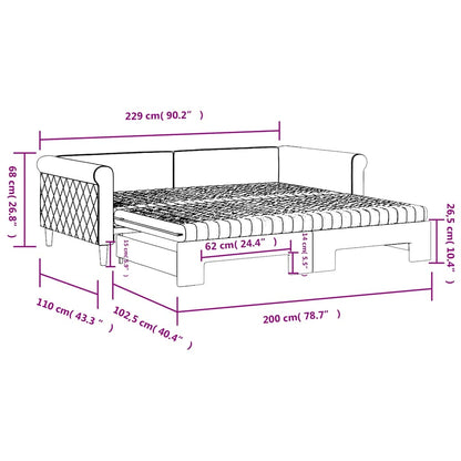Slaapbank onderschuifbed matrassen 100x200cm fluweeldonkergrijs