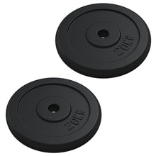 Halterschijf 40 Kg Gietijzer 2x 20 kg