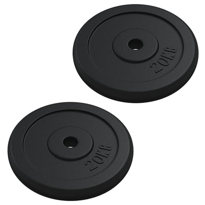 Halterschijf 40 Kg Gietijzer 2x 20 kg