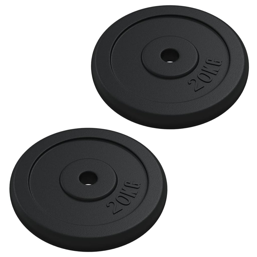 Halterschijf 40 Kg Gietijzer 2x 20 kg