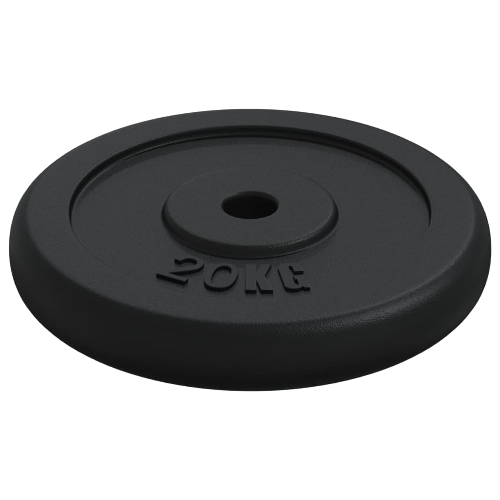 Halterschijf 40 Kg Gietijzer 2x 20 kg