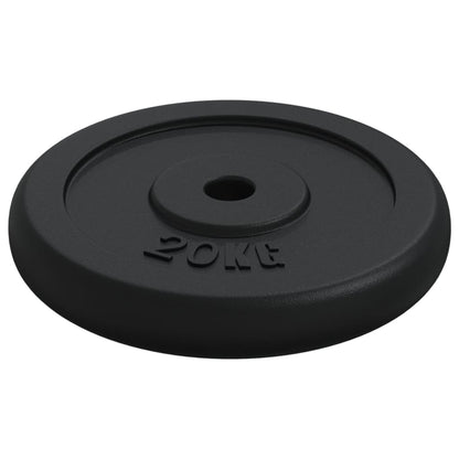 Halterschijf 40 Kg Gietijzer 2x 20 kg