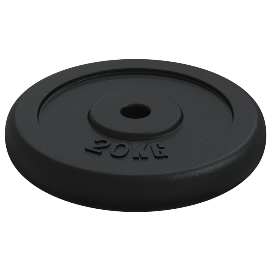 Halterschijf 40 Kg Gietijzer 2x 20 kg