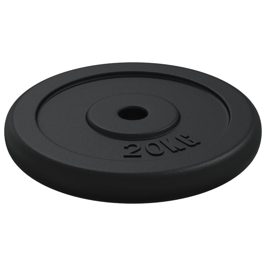 Halterschijf 40 Kg Gietijzer 2x 20 kg