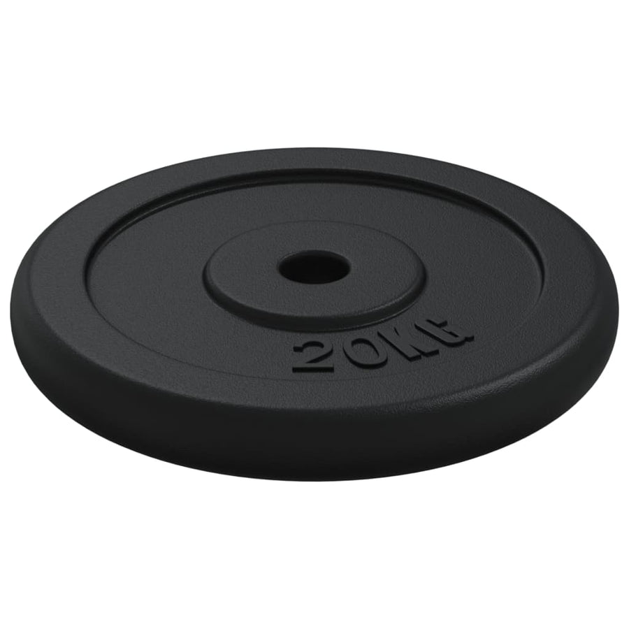 Halterschijf 40 Kg Gietijzer 2x 20 kg