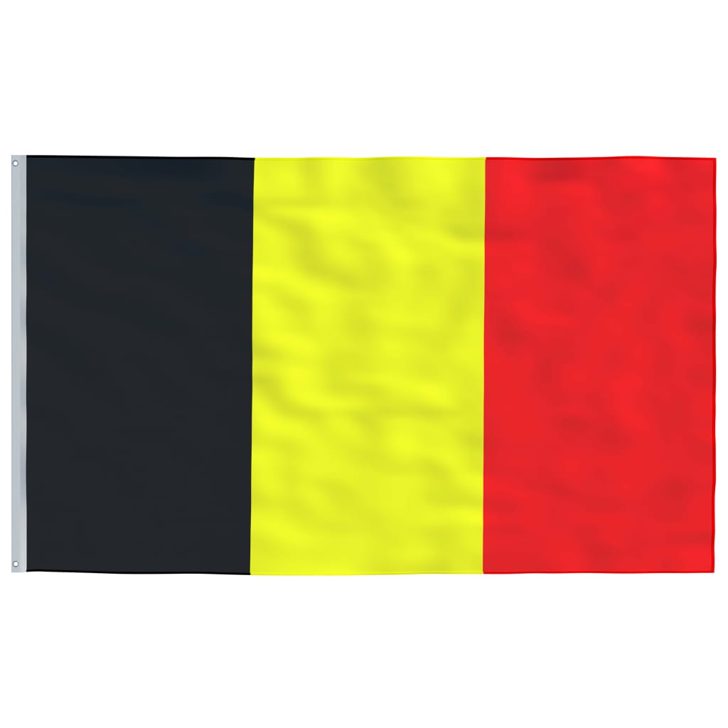 Vlag Met Vlaggenmast België 5,55 M Aluminium