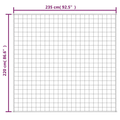 Verzwaringsdeken 5 Kg Stof Lichtkleurig Crème 15 kg 220 x 235 cm