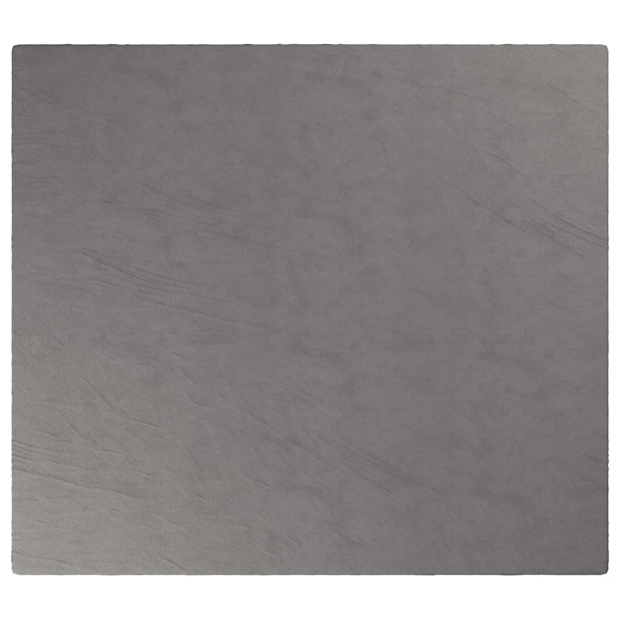 Verzwaringsdeken Met Hoes 3 Kg Stof Grijs 13 kg 200x225 cm