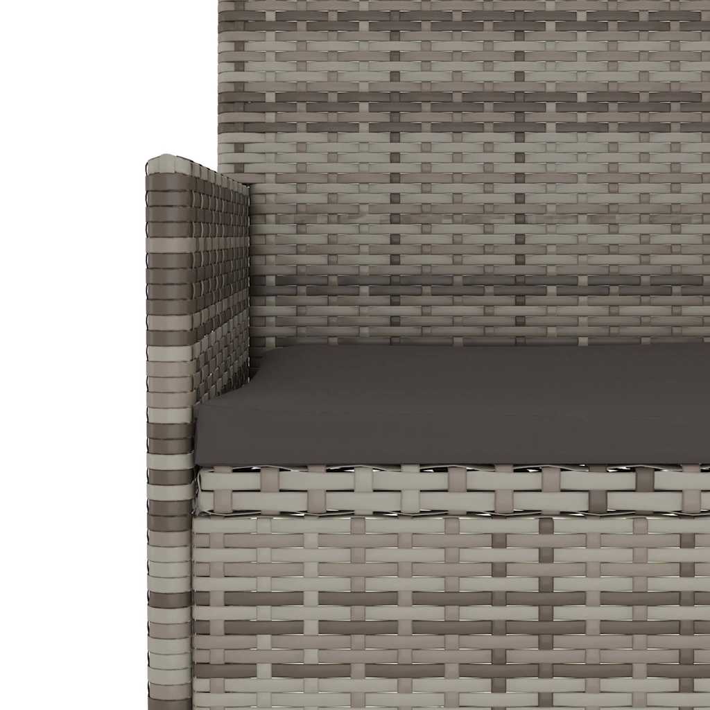 Tuinbank 2-Zits Met Kussens Poly Rattan Grijs
